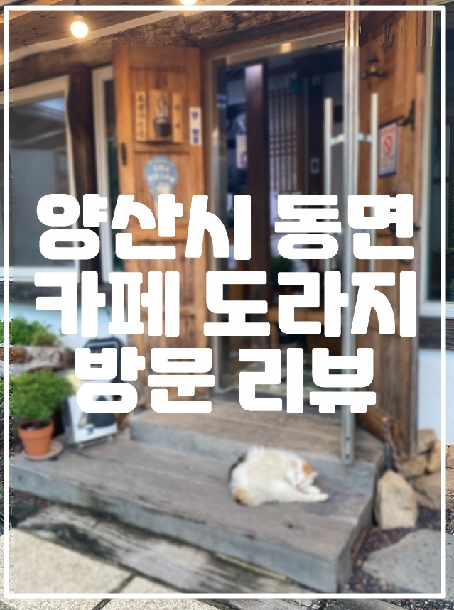 양산 카페도라지 방문 리뷰