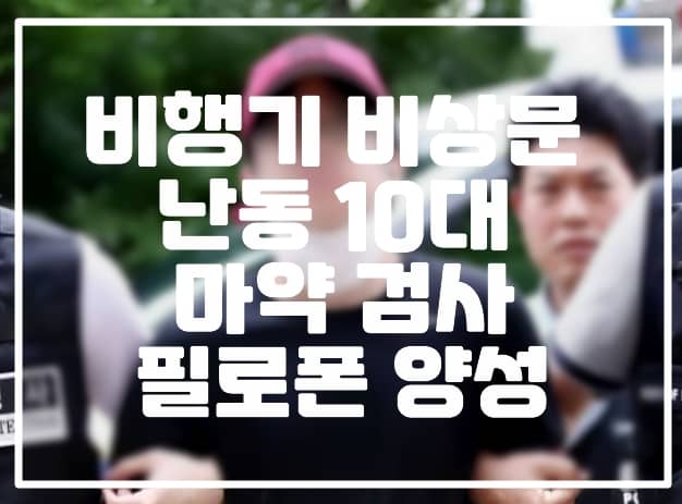 비행기 비상문 난동 10대 마약검사 필로폰 양성