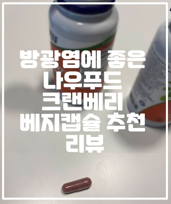 방광염에 좋은 나우푸드 크랜베리 베지캡슐 추천 리뷰