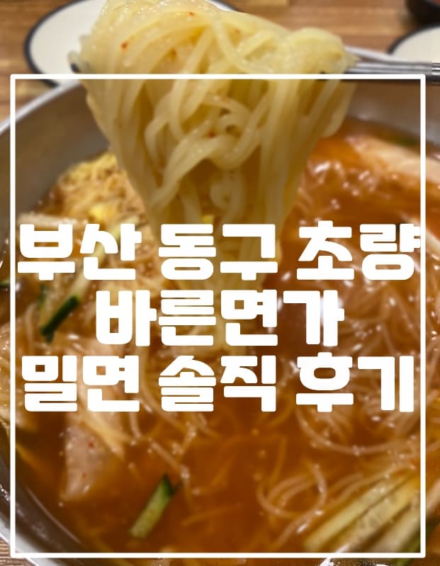 부산 초량 바른면가 밀면 후기