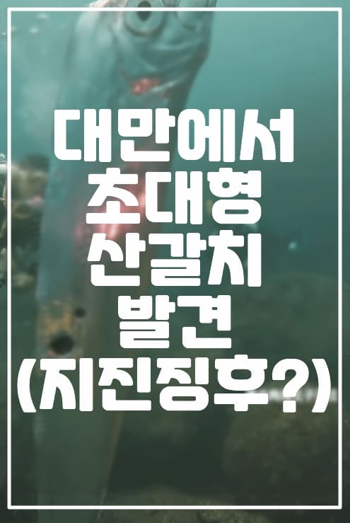 대만에서 초대형 산갈치 발견(Crestfish) 지진징후?