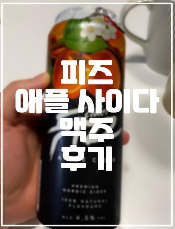 이마트 피즈 애플 사이다 맥주 후기 (+3,000원)