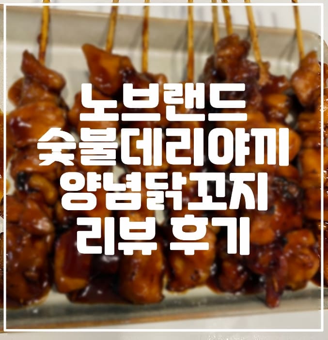 노브랜드 숯불 데리야끼 양념 닭꼬지 리뷰 (+안주 최강)