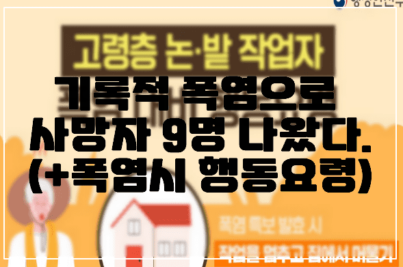 기록적 폭염으로 사망자 9명 나왔다.(+폭염 대비 행동요령)
