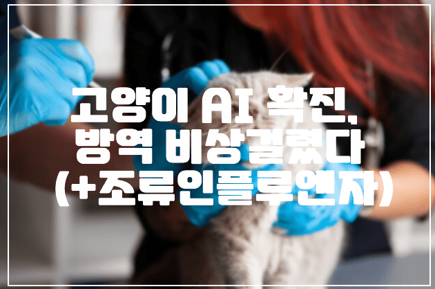 고양이 AI 확진, 방역 비상걸렸다 (+조류인플루엔자)