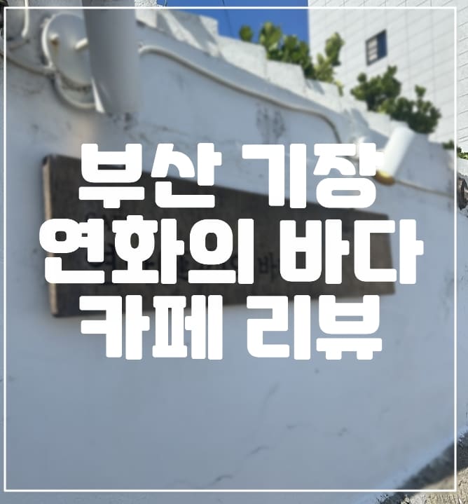 분위기가 예쁜 기장 연화의바다 카페 후기 (+엔틱한 소품이 많은)