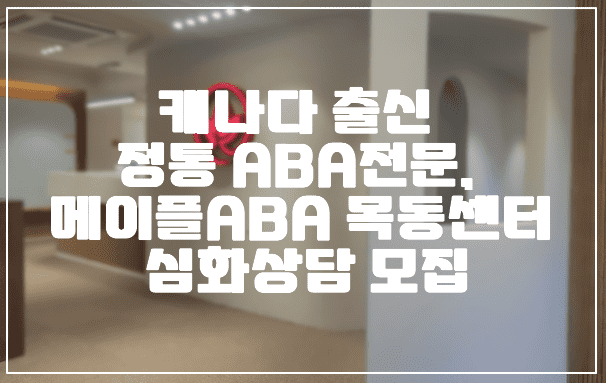 캐나다 출신 정통 ABA전문, 메이플ABA 목동센터 심화상담 모집