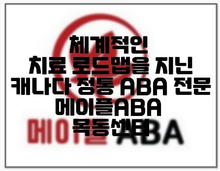 체계적인 치료 로드맵을 지닌, 캐나다 정통 ABA 전문 메이플ABA 목동센터 (+초기상담비 50% 공제)