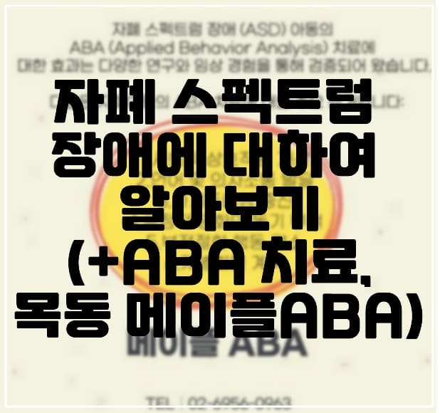 자폐 스펙트럼 장애에 대하여 알아보기 (+ABA 치료, 목동 메이플ABA)