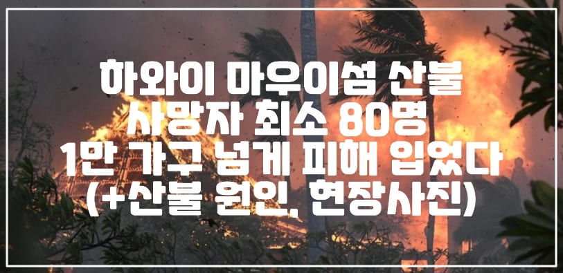 하와이 마우이섬 산불 사망자 최소 80명 발생했다 (+화재 원인, 현장 상황)
