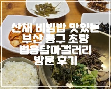 부산 동구 초량 산채 비빔밥 맛있는 법용달마갤러리 방문 후기(+초량 맛집, 동구 맛집, 비빔밥 맛집)