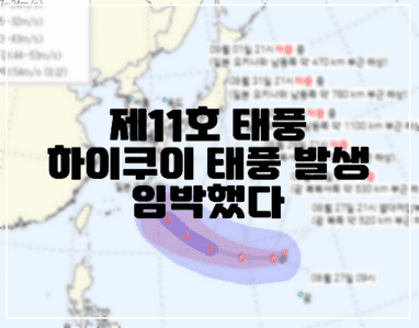 3개 태풍의 예상 경로에 대해서 (+9호 사올라, 10호 담레이 경로)
일본 기상청에서 28일 밝힌 9호 태풍 사올라와, 10호 태풍 담레이, 그리고 11호 태풍 하이쿠이 (발달예정)에 대한 경로를 보도한 바 있는데요.  기상청에 따르면 사올라와 담레이는 예상경로가 거의 정해졌으나 하이쿠이는 오키나와 까지만 윤곽이 나왔고 이후 경로는 아직 불확실한 것으로 알려졌습니다.