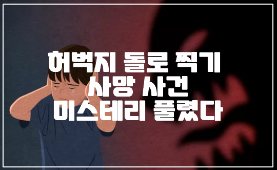 잠들면 허벅지 돌로 찍기, 허벅지 구타 사망 미스테리 풀렸다 (+3자 가스라이팅, 사건 정리, 졸음쉼터 사망 사건)