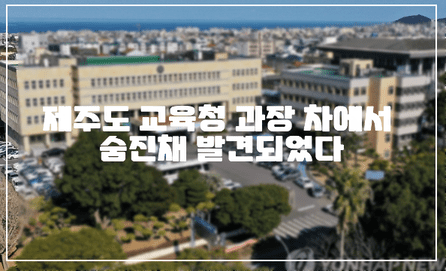 제주도 교육청 과장 차에서 숨진채 발견되었다. (+한국교총 보도자료, 도교육청 과장 자살, 제주도 교육청 과장 자살)
