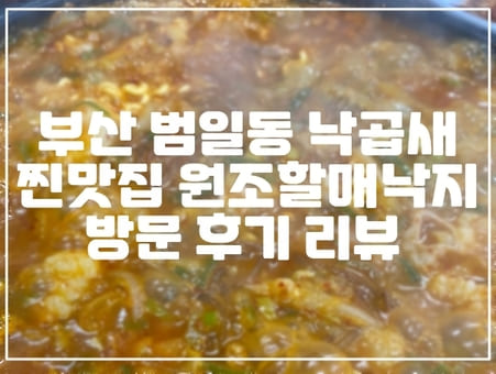 부산 범일동 낙곱새 찐맛집 원조할매낙지 방문 후기 리뷰 (+부산 맛집, 범일역 맛집,백종원 3대천왕, 배틀트립, 식신로드 방영된 맛집)