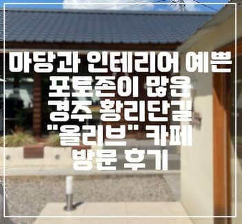 경주 핫플 포토존 많은 황리단길 올리브 카페 방문 후기 리뷰 (+분위기 맛집 카페, 황리단길 카페 추천, 경주 카페 추천, 인테리어 맛집 카페, 포토존 경주 카페)