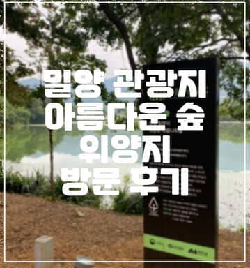 [밀양 여행] 밀양 가볼만한 곳 관광명소 사진찍기 좋은 밀양 위양지(위양못) 방문 후기 (+주차 정보, 밀양 관광지, 밀양 가볼만한 곳, 밀양 핫플레이스)