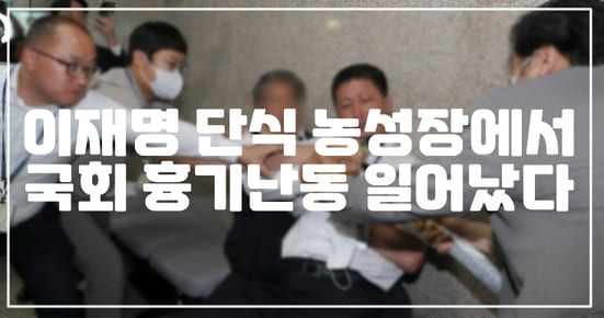 이재명 단식 농성장에서 국회 흉기난동 일어났다. (+현장 사진, 여경 부상 사진, 국회 흉기난동녀, 커터칼 난동)
