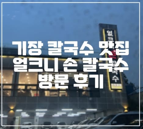 [부산 기장 맛집] 부산 칼국수 유명한 기장 얼크니 손칼국수 방문 후기 (+주차정보, 부산 칼국수 맛집, 부산 꼭 먹어야 할 칼국수, 영업시간 정보)