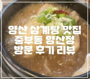 양산 삼계탕 1등 맛집, 삼계탕 전문점 "양산정" 방문 후기 (+중부동 맛집, 양산 맛집, 양산 삼계탕 맛집, 양산 삼계탕 추천, 한방 삼계탕)