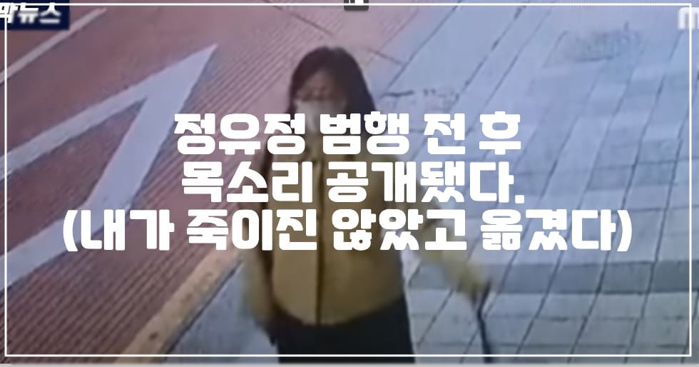 정유정 범행 전 후 목소리 통화내용 공개됐다. "내가 자르진 않았어" (+정유정 통화내용 공개, 악인취재기, 정유정 살인, 정유정 과외 앱 살인)