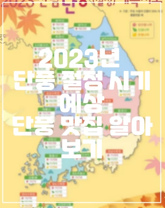 2023년 단풍 절정 시기, 단풍 맛집 단풍 명소 알아보기 (+설악산 단풍 개화, 단풍 절정 시기, 가을 단풍 명소)