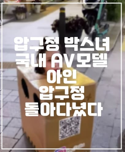 압구정 박스녀 한국 AV모델 아인, 박스 안에 손 넣어 가슴 만지게 하는 행위예술 했다. (+압구정 박스녀 인스타그램, 박스녀 사진, 공연음란죄 처벌, 현장 사진, 사건 정리)