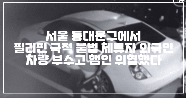 서울 동대문구에서 필리핀 국적 불법 체류자 외국인 차량 부수고 행인 위협 난동부렸다 (+CCTV 사진, 테이저건 체포, 불법체류자 난동, 행인 위협, 외국인 차량 파손)