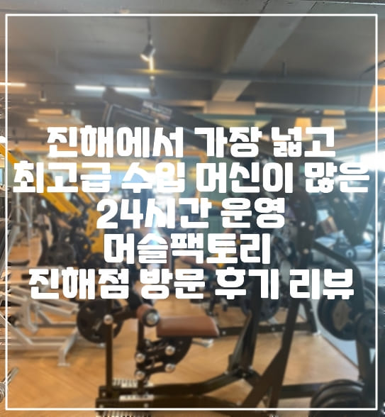 창원 진해에서 가장 넓고, 최고급 수입 머신 많은 24시간 헬스장 "머슬팩토리 진해점" 방문 후기 리뷰 (+진해 헬스장, 해머스트랭스, 아스널스트랭스, 싸이벡스, 프리모션, 테크노짐, 창원 24시간 헬스장)