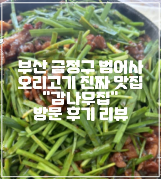 부산 금정구 범어사 오리고기 진짜 맛집 "감나무집" 방문 후기 리뷰 (+오리불고기 맛집, 오리고기 맛집, 부산 오리고기 맛집, 범어사 맛집, 금정구 맛집, 범어사 오리고기 맛집)