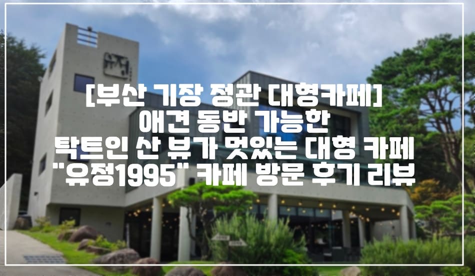 [부산 기장 정관 대형카페] 애견 동반 가능한 탁트인 산 뷰가 멋있는 대형 카페 "유정1995" 카페 방문 후기 리뷰 (+부산 정관 기장 카페 추천, 부산 기장 신상 대형 카페, 부산 통창 마운틴뷰 카페, 부산 카페 베이커리 맛집 추천)