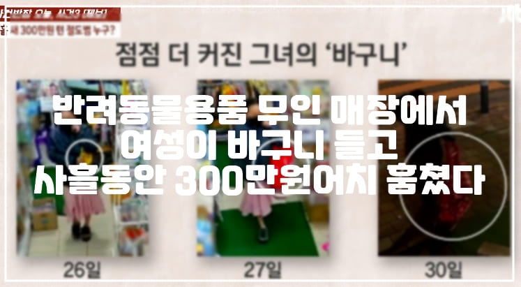 반려동물용품 무인 매장에서 여성이 바구니 들고 사흘동안 300만원어치 훔쳤다. (+CCTV 사진, 사건 정리, 무인용품 절도범, 반려동물용품 절도, 애완용품 무인점포 절도, 무인점포 절도)