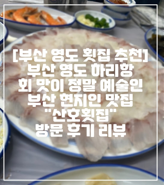 [부산 영도 횟집 추천] 부산 영도 하리항 회 맛이 정말 예술인 부산 현지인 맛집 "산호횟집" 방문 후기 리뷰 (+영도 맛있는 횟집 추천, 부산 횟집 추천, 영도 횟집 추천, 부산 바다 근처 횟집, 모듬회 맛집)