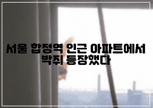 서울 마포구 합정역 아파트에서 이례적으로 박쥐 발견됐다. (+박쥐 사진, 아파트 박쥐, 마포구 박쥐, 서울 박취 출몰) 