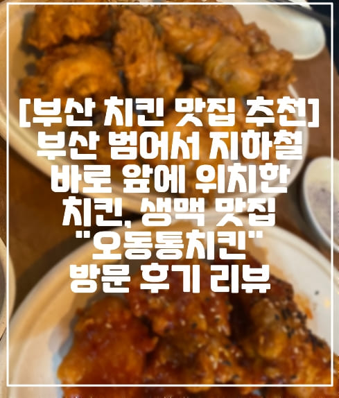 [부산 범어사 치킨 맛집 추천] 부산 범어서 지하철 바로 앞 인생 옛날 치킨, 생맥 맛있는 "오동통치킨" 방문 후기 리뷰(+부산 치킨 맛집, 부산 치맥 맛집, 부산 핫후라이드 맛집, 부산 범어사 넓은 치킨 맥주 맛집)