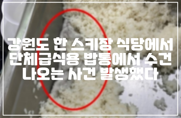 강원도 한 스키장 식당에서 단체급식용 밥통에서 수건 나오는 사건 발생했다 (+강원도 스키장 어디, 현장 밥통 사진, 사건 정리, 스키장 밥통 수건, 강원도 스키장 수건, 스키장 급식소 수건, 스키장 식당 밥통 사건)