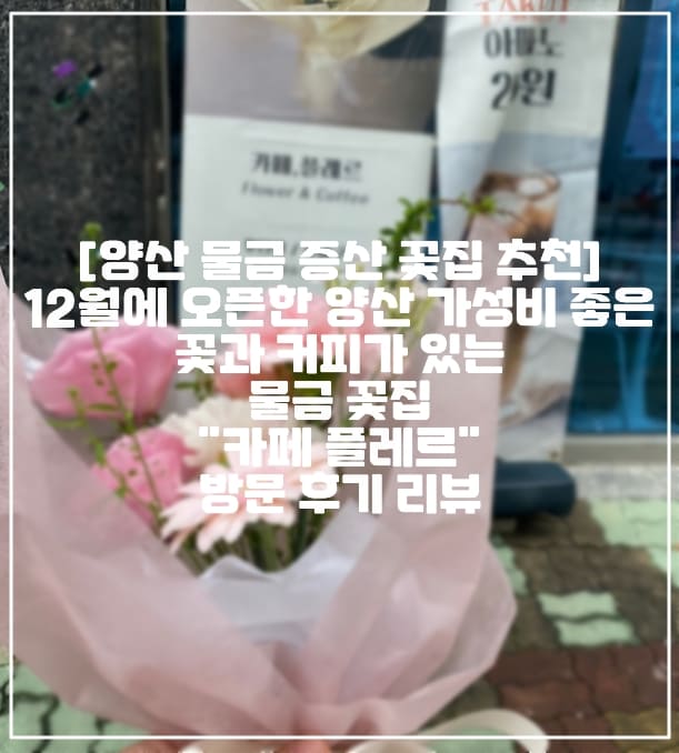 [양산 물금 증산 꽃집 추천] 12월에 오픈한 양산 가성비 좋은 선물용 꽃 다발과 커피가 있는 물금 꽃집 "카페 플레르" 방문 후기 리뷰 (+양산 꽃 다발 추천, 양산 물금 꽃다발, 양산 꽃 집 추천, 양산 물금 꽃집, 양산 증산역 꽃집, 양산 증산 꽃집, 양산 가성비 좋은 꽃집, 커피가 있는 꽃집, 양산 꽃 파는 곳 추천)