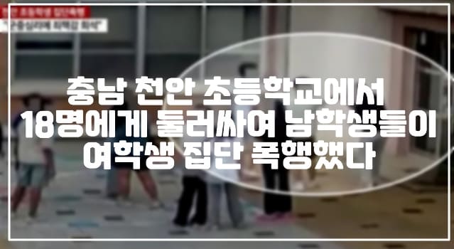 충남 천안 초등학교에서 18명에게 둘러싸여 남학생들이 여학생 집단 폭행했다 (+폭행 사진, 학교 어디, 폭행 영상, 사건 총정리, 사건반장 천안 초등학교 집단폭행, 천안 초등학교 집단폭행, 초등학생 18명 집단폭행, 천안 초등학교 여학생 집단폭행)