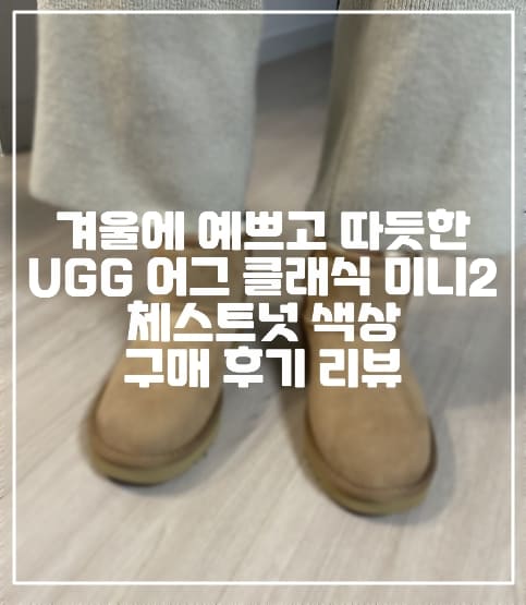 겨울에 예쁘고 따듯한 UGG 어그 클래식 미니2 체스트넛 색상 구매 후기 리뷰 (+쿠팡 어그 클래식 구매 후기, 겨울 어그 신발 추천, UGG 어그 추천, UGG 클래식 어그 추천, 클래식 미니2 어그, 클래식 미니 어그, 클래식 어그 체스트넛 후기, UGG 클래식 어그 후기, UGG 클래식 미니2 어그 사이즈, UGG 미니 어그 추천, UGG 미니 어그 사이즈, 호주 어그 추천, 미국 어그 추천, 예쁜 어그 추천, 겨울철 어그 추천 후기)