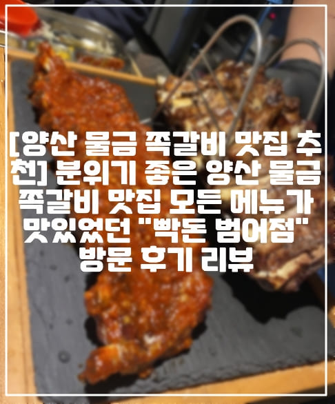 [양산 물금 쪽갈비 맛집 추천] 분위기 좋은 양산 물금 쪽갈비 맛집 모든 메뉴가 맛있었던 "빡돈 범어점" 방문 후기 리뷰 (+양산 빡돈 범어점, 양산 쪽갈비 맛집 추천, 양산 통쪽갈비 맛집, 양산 호롱구이 맛집, 양산 새우구이 맛집, 양산 된장찌개 맛집, 양산 주먹밥 맛집, 양산 맛집 추천, 양산 돼지고기 맛집, 양산 고기 맛집, 양산 분위기 맛집, 양산 부산대학교 병원 근처 맛집, 양부대 병원 맛집 추천, 양산 회식장소 추천)