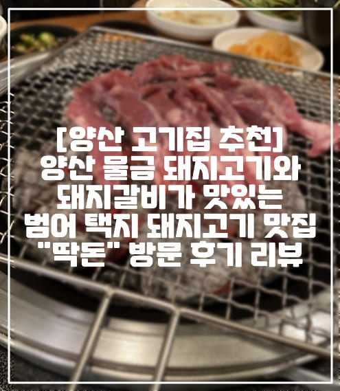 [양산 물금 돼지고기집 추천] 양산 물금 양산부산대학교 병원 돼지고기와 돼지갈비가 맛있는 범어 택지 돼지고기 고기 맛집 "딱돈" 방문 후기 리뷰 (+양산 돼지고기 구이 맛집, 양산 돼지갈비 맛집, 양산 갈비 맛집, 양산 갈매기살 맛집, 양산 삼겹살 맛집, 양산 참숯 돼지고기 구이 맛집, 양산 수제갈비 맛집, 양산 생갈비 맛집, 양산 생삼겹살 맛집, 양산 양념갈비 맛집, 양산 가성비 돼지고기 맛집)