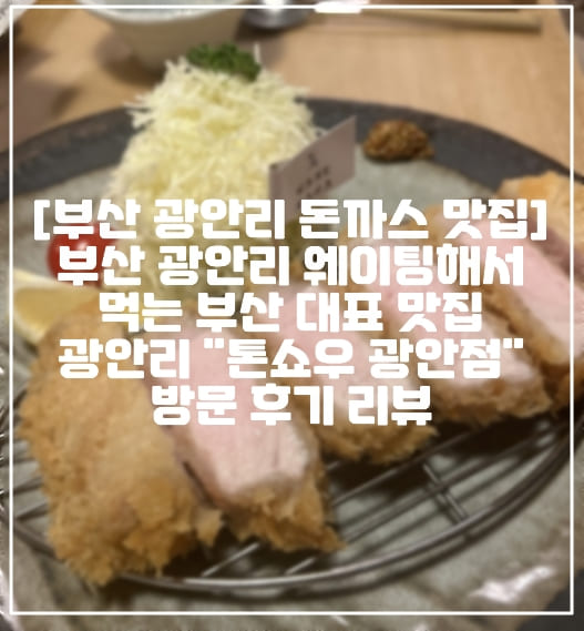 [부산 광안리 돈까스 맛집] 부산 광안리 웨이팅해서 먹는 부산 대표 맛집 광안리 "톤쇼우 광안점" 방문 후기 리뷰 (+톤쇼우 광안점 주차장 정보, 부산 돈가스 맛집 추천, 부산 돈카츠 맛집 추천, 부산 광안리 대표 맛집 추천, 톤쇼우 버크셔K 로스카츠 후기, 부산 줄서서 먹는 돈까스 맛집, 핑크빛 돈카츠 맛집 추천)