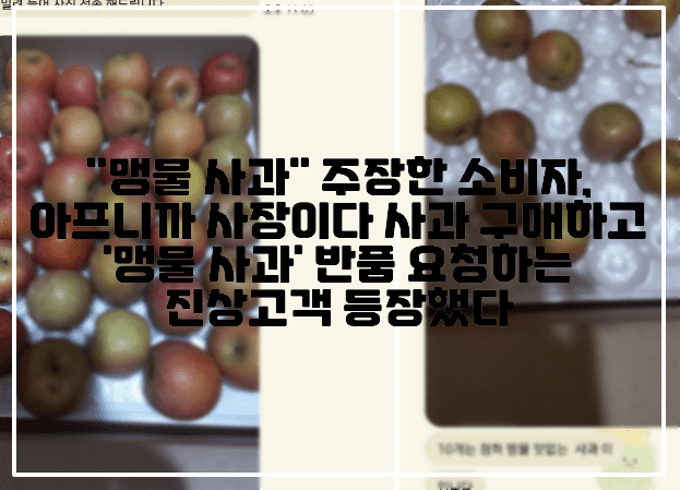 "맹물 사과" 주장한 소비자, 아프니까 사장이다 사과 구매하고 '맹물 사과' 라고 반품 요청하는 진상고객 등장했다 (+글 링크 주소, 카톡 사진, 메세지 사진, 사건 정리, 난 아줌마라 보면 알아, 맹물 사과, 역시 주문할 때 부터 진상은 끝까지 진상이네요, 아프니까 사장이다 사과 사건, 아프니까 사장이다 진상 손님)