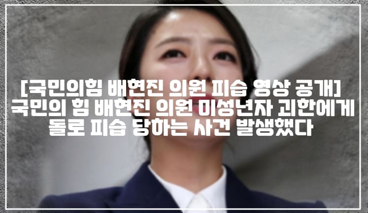 [국민의힘 배현진 의원 피습 영상 공개] 국민의 힘 배현진 의원 미성년자 괴한에게 돌로 피습 당하는 사건 발생했다 (+CCTV 영상 공개, 사건 정리, 사건 사진, 배현진 피습, 배현진 돌, 배현진 15살, 배현진 피습 사건, 배현진 의원 피습사건, 국민의힘 피습, 배현진 괴한, 배현진 열상, 배현진 20번 내리쳐, 배현진인가요?)