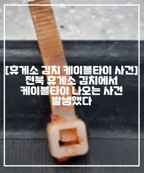 [휴게소 김치 케이블타이 사건] 전북 휴게소 라면 먹다가 김치에서 케이블타이 나오는 사건 발생했다 (+이물질 사진, 사건 사진, 사건 정리, 휴게소 케이블타이 사진, 휴게소 음식 케이블타이, 휴게소 음식 이물질, 휴게소 김치먹다 치아 우지끈, 전북 고속도로 휴게소 케이블타이, 고속도로 휴게소 이물질)