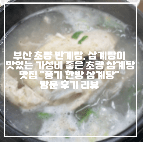 [부산 초량 삼계탕 맛집 추천] 부산 초량 반계탕, 삼계탕이 정말 맛있는 가성비 좋은 초량 삼계탕 맛집 "풍기 한방 삼계탕" 방문 후기 리뷰 (+초량역 맛집, 부산역 맛집, 부산역 삼계탕 맛집, 초량역 삼계탕 맛집, 부산 반계탕 삼계탕 맛집, 부산 인삼 삼계탕 맛집, 부산 한방 삼계탕 맛집, 부산 초량 한방 삼계탕 맛집, 부산 저렴한 삼계탕 맛집, 부산 가성비 좋은 삼계탕 맛집, 부산역 직장인 점심 추천, 초량역 직장인 점심 추천 맛집, 부산 몸보신 맛집)