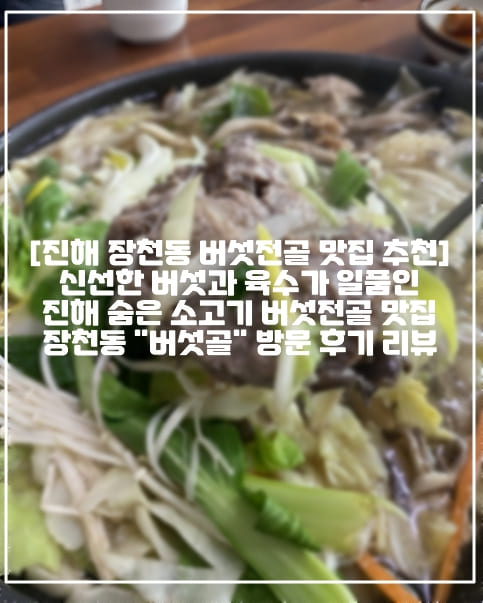 [진해 장천동 버섯전골 맛집 버섯골 추천] 신선한 버섯과 육수가 일품인 진해 숨은 소고기 버섯전골 맛집 장천동 "버섯골" 방문 후기 리뷰 (+주차장 정보, 진해 버섯 맛집, 진해 숨은 맛집 추천, 진해 맛집 추천, 진해 전골 맛집 추천, 진해 버섯전골 맛집 추천, 진해 장천동 맛집 추천, 가족들과 가기 좋은 진해 맛집, 창원시 진해구 맛집, 창원 맛집 추천, 창원 버섯전골 맛집, 소고기 버섯전골 맛집 추천)