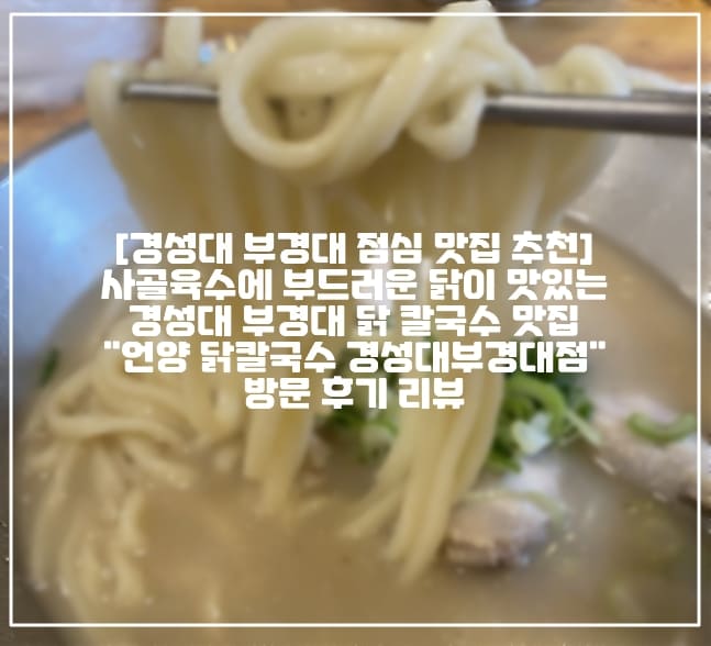 [경성대부경대역 대연동 가성비 칼국수 점심 맛집 추천] 사골육수에 부드러운 닭이 맛있는 경성대부경대역 대연동 닭 칼국수 맛집 "언양 닭칼국수 경성대부경대점" 방문 후기 리뷰 (+대연동 닭 반마리 칼국수 맛집, 경성대부경대역 칼국수 맛집, 경성대부경대역 닭칼국수 맛집, 경성대 닭 칼국수 맛집, 부경대 닭 칼국수 맛집, 부경대 맛집 추천, 경성대 맛집 추천, 경성대부경대역 맛집 추천, 경성대부경대역 점심 맛집 추천, 경성대 닭 맛집, 부경대 닭 맛집, 경성대부경대역 점심 맛 추천, 대연동 가성비 맛집, 대연동 닭칼국수 맛집, 대연동 언양 닭칼국수 맛집, 대연동 점심 추천, 언양 닭칼국수 추천)