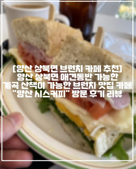 [양산시 상북면 브런치 맛집 카페] 양산 상북면 애견동반 가능하고 숲 뷰가 인상적인 브런치 맛집 카페 "양산 시스커피" 방문 후기 리뷰 (+양산 애견동반 카페 추천, 양산 숲뷰 카페 추천, 양산 대형카페 추천, 양산 상북면 카페 추천, 양산 브런치 맛집 카페 추천, 양산 브런치 맛집, 양산 디저트 카페 추천, 양산 커피 맛집 추천, 양산 감자스프 맛집 추천, 양산 샌드위치 맛집 카페 추천, 양산 런치 맛집 추천, 양산 스프 맛집 추천, 양산 뷰 맛집 카페 추천, 양산 숲속 카페 추천, 양산 용주사 카페 추천, 양산 상북면 커피 맛집 추천, 양산 상북면 분위기 좋은 카페 추천, 양산 분위기 좋은 카페 추천, 부산 근교 분위기 좋은 카페 추천, 부산 근교 브런치 카페 추천, 부산 근교 브런치 맛집 카페, 부산 근교 애견동반 카페 추천, 양산 애견카페 추천)