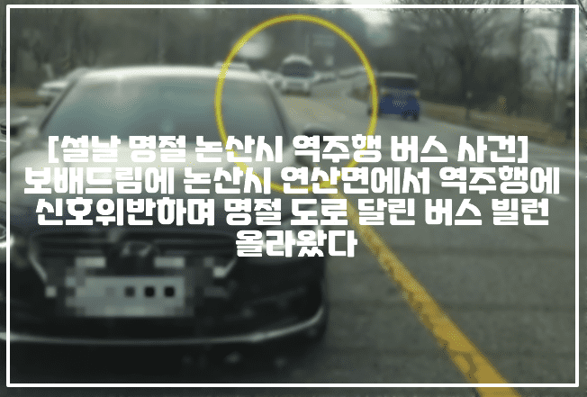 [설날 명절 논산시 역주행 버스 사건] 보배드림에 논산시 연산면에서 역주행에 신호위반하며 명절 도로 달린 버스 빌런 올라왔다 (+보배드림 글 링크, 현장 사진, 보배드림 엄청난 버스를 봤습니다, 논산시 역주행 버스, 논산시 연산면 역주행 버스, 명절 역주행 버스, 명절 역주행 승합자, 설날 역주행 승합차, 논산시 역주행 승합차, 연산면 역주행 승합차, 논산시 난폭운전, 논산시 중앙선 침범, 명절 역주행 중앙선 침범 버스, 설날 역주행 중앙선 침범 버스)